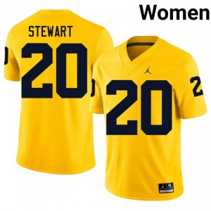 #20 I'Marion Stewart Michigan Women's Jersey | Maize University Football Premium Stitching Team Gear 15563943