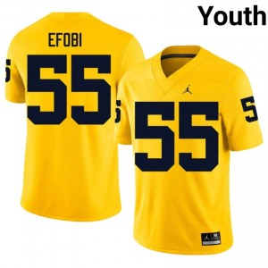 #55 Nathan Efobi Michigan Youth Jersey | Maize University Football Premium Stitching Team Gear 51526914