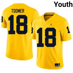 #18 Amani Toomer Michigan Youth Jersey | Maize University Football Premium Stitching Team Gear 15948377