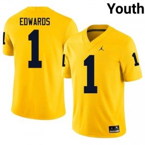 #1 Braylon Edwards Michigan Youth Jersey | Maize University Football Premium Stitching Team Gear 64618091